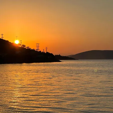 Fasshome Near The Sea
